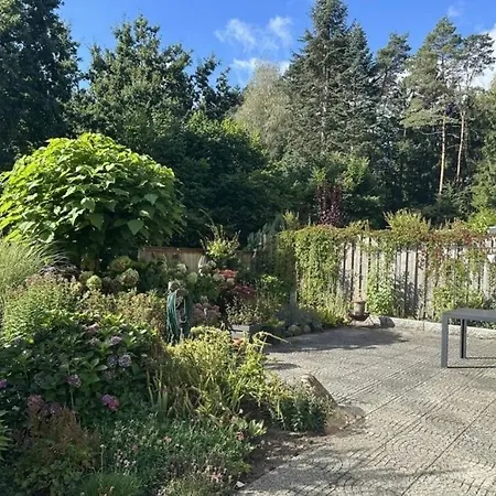 Waldgefluester Buchholz in der Nordheide